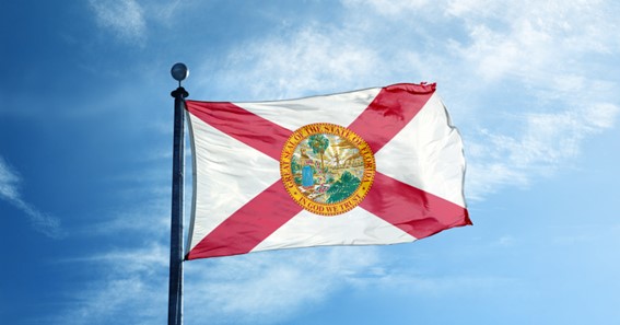 Florida Flag: Meaning And History 