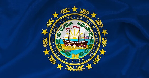 New Hampshire Flag: Meaning And History 