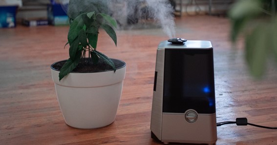 Things To Consider When Purchasing An Air Purifier 