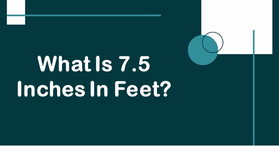 What Is 7.5 Inches In Cm? Convert 7.5 In To Cm (Centimeters)