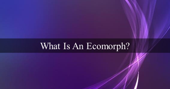 What Is An Ecomorph